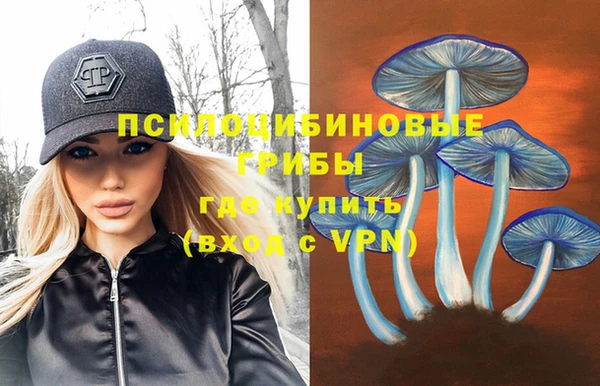 альфа пвп Няндома